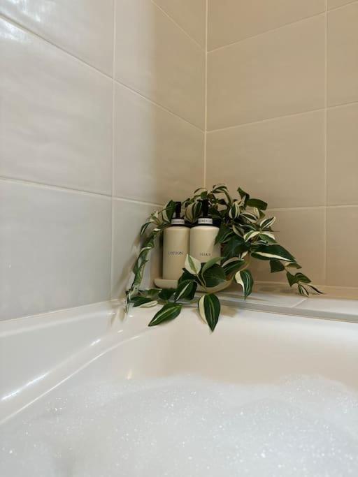 Jungle Suite - Moderne & Spacieux Annecy Exterior foto